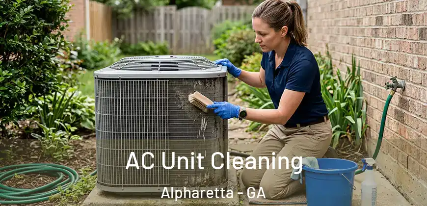  AC Unit Cleaning Alpharetta - GA